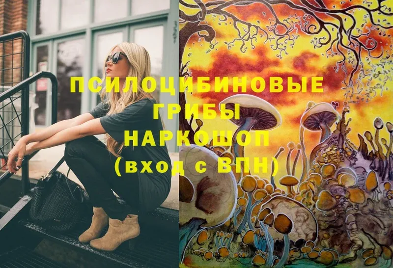 Галлюциногенные грибы ЛСД Белая Холуница