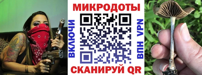 Псилоцибиновые грибы прущие грибы дарнет шоп Белая Холуница