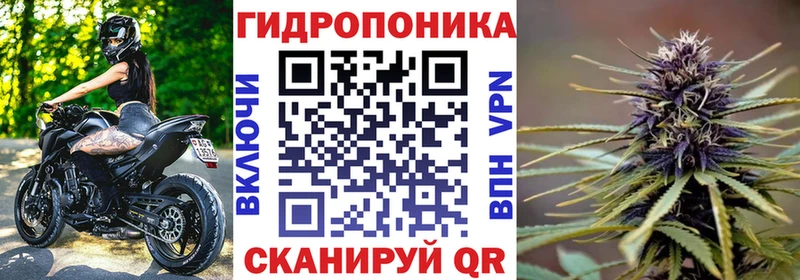 ОМГ ОМГ зеркало  Белая Холуница  Марихуана планчик 